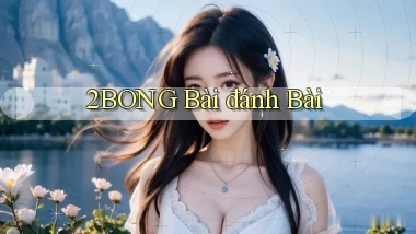 2bong bài đánh bài