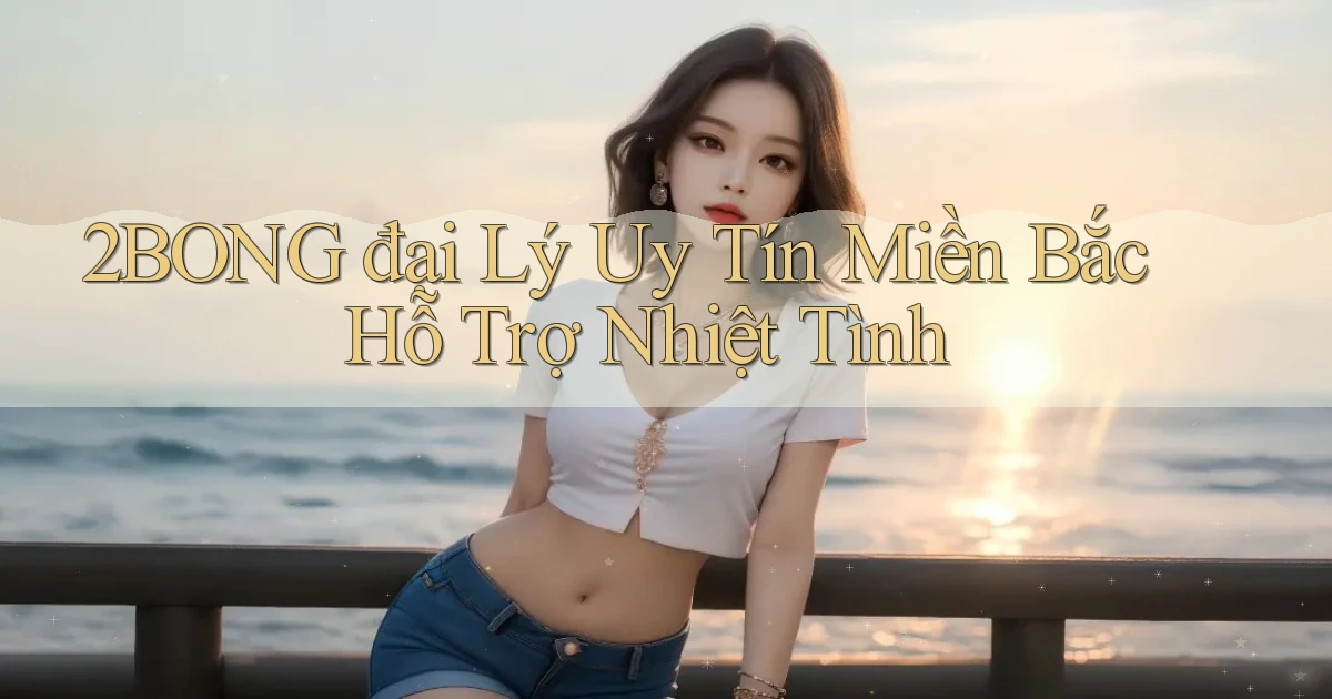 2bong  đại lý uy tín miền bắc hỗ trợ nhiệt tình