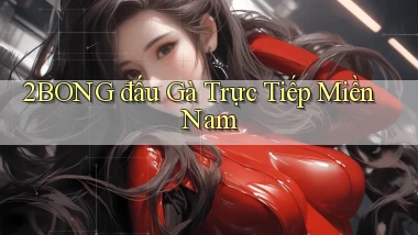 2bong  đấu gà trực tiếp miền nam
