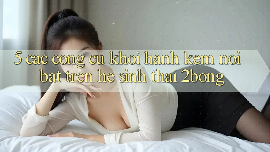 5. Các Công cụ Khởi hành Kèm Nổi Bật Trên Hệ Sinh Thái 2bong 5. Các Công cụ Khởi hành Kèm Nổi Bật Trên Hệ Sinh Thái 2bong