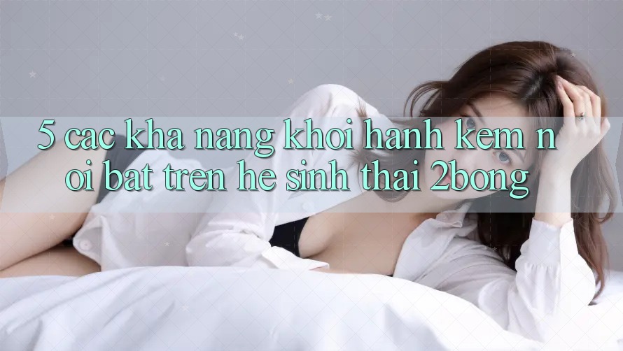 5. Các Khả năng Khởi hành Kèm Nổi Bật Trên Hệ Sinh Thái 2bong 5. Các Khả năng Khởi hành Kèm Nổi Bật Trên Hệ Sinh Thái 2bong