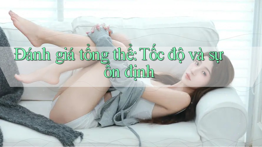 Đánh giá tổng thể: Tốc độ và sự ổn định Đánh giá tổng thể: Tốc độ và sự ổn định