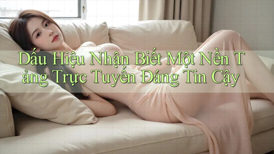 Dấu Hiệu Nhận Biết Một Nền Tảng Trực Tuyến Đáng Tin Cậy Dấu Hiệu Nhận Biết Một Nền Tảng Trực Tuyến Đáng Tin Cậy