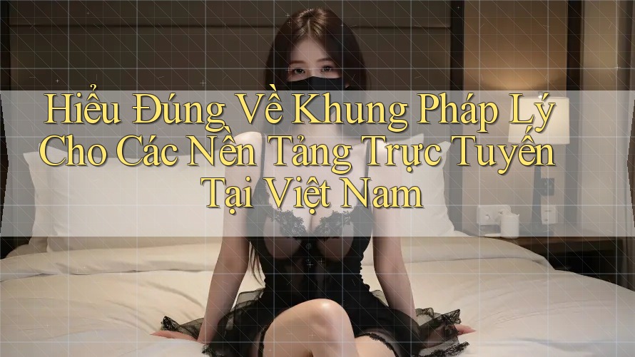 Hiểu Đúng Về Khung Pháp Lý Cho Các Nền Tảng Trực Tuyến Tại Việt Nam Hiểu Đúng Về Khung Pháp Lý Cho Các Nền Tảng Trực Tuyến Tại Việt Nam