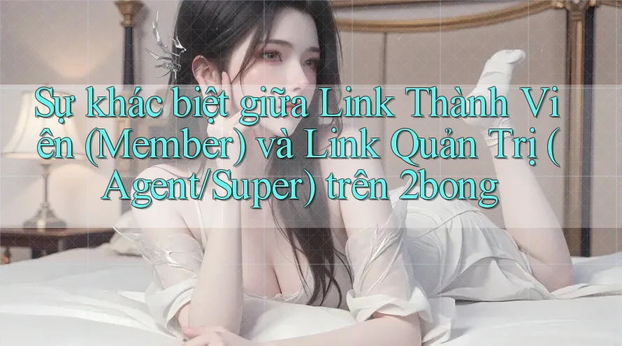 Sự khác biệt giữa Link Thành Viên (Member) và Link Quản Trị (Agent/Super) trên 2bong
