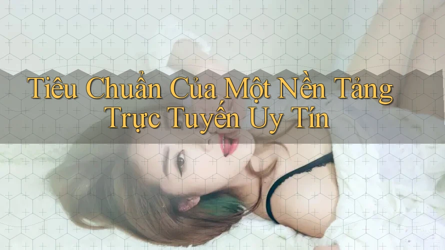 Tiêu Chuẩn Của Một Nền Tảng Trực Tuyến Uy Tín