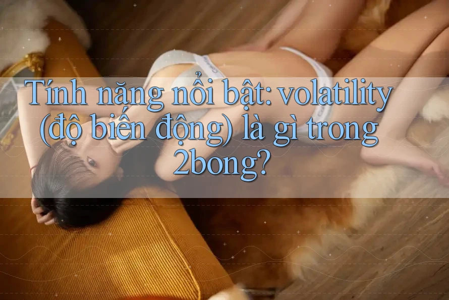 Tính năng nổi bật: volatility (độ biến động) là gì trong 2bong?
