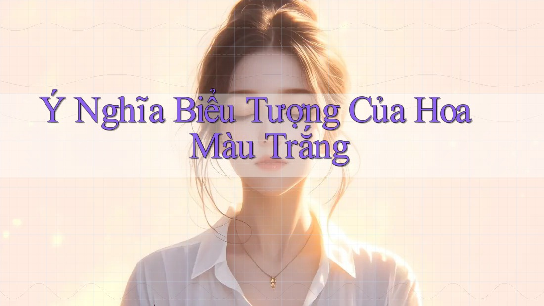Ý Nghĩa Biểu Tượng Của Hoa Màu Trắng Ý Nghĩa Biểu Tượng Của Hoa Màu Trắng